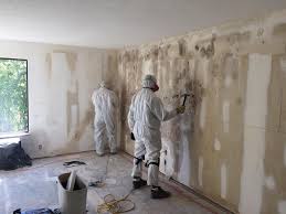 Trusted Valatie, NY Mold Inspection Experts